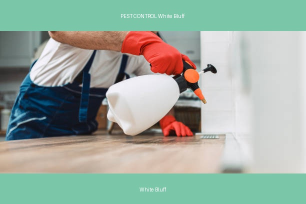 PEST CONTROL White Bluff